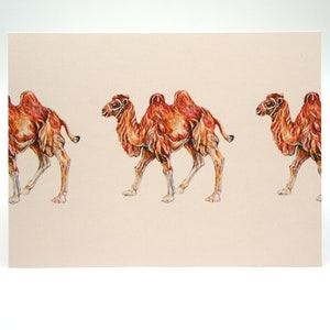Tarjeta de felicitación Camel - para todas las ocasiones - ideal para el tercer cumpleaños