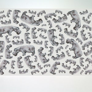 Biglietto di auguri hippopotamus - per tutte le occasioni