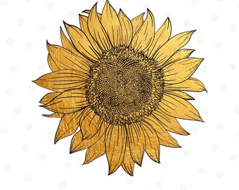 Gold Sunflower Sublimation, Sunflower Png, Sunflower Summer PNG, Sunshine Sunflower, Digital Download, Sunflower Clip art, Sunflower Tumbler