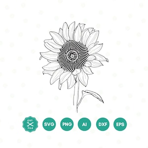Tournesol dessiné à la main SVG, PNG, fleur SVG, clipart tournesol, Cricut, Lineart, Silhouette, téléchargement immédiat, fleurs sauvages, conception de sublimation
