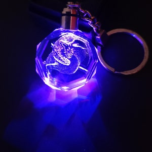 Lagiacrus Farbwechsel LED Premium Kristall Lasergravur 2D Bild Schlüsselanhänger mit Souvenir Geschenkbox und Batterie
