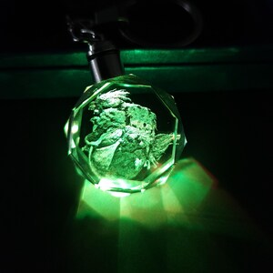 Tetranadon Color Changing LED Premium Crystal Laser Engraved 2D Picture Keychain with Souvenir Gift Box & Battery