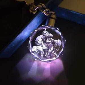 Congalala Color Changing LED Premium Crystal Laser Engraved 2D Picture Keychain with Souvenir Gift Box & Battery