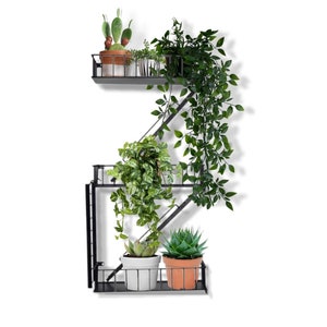May include: A black metal wall-mounted shelf with three tiers, each holding potted plants. The top tier has a cactus and a small green plant, the middle tier has a trailing plant, and the bottom tier has a succulent and a green plant.
