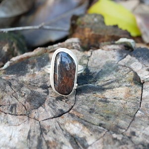 Sterling Silver Blue Tigers Eye Ring | Size 5