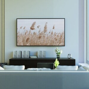 May include: A modern living room with a white couch, a black entertainment center, and a flat screen TV displaying a photograph of tall grass blowing in the wind.