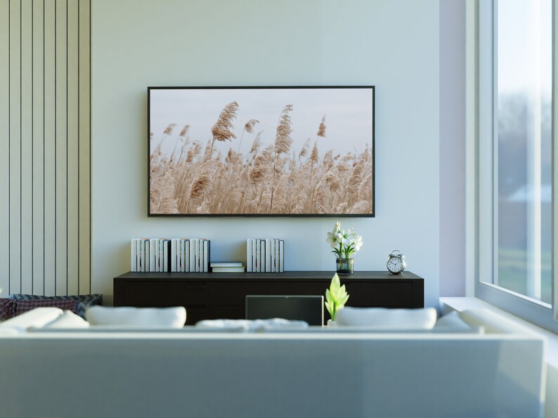 May include: A modern living room with a white couch, a black entertainment center, and a flat screen TV displaying a photograph of tall grass blowing in the wind.