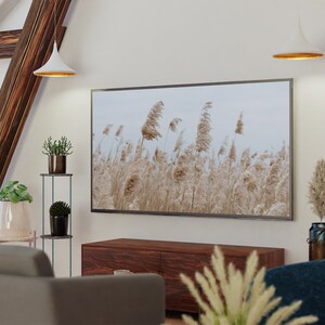 May include: A living room interior with a flat screen TV displaying a photograph of tall grass blowing in the wind. The TV is mounted on the wall above a dark wood entertainment center. There are two pendant lights hanging from the ceiling, and a potted plant on a metal stand.
