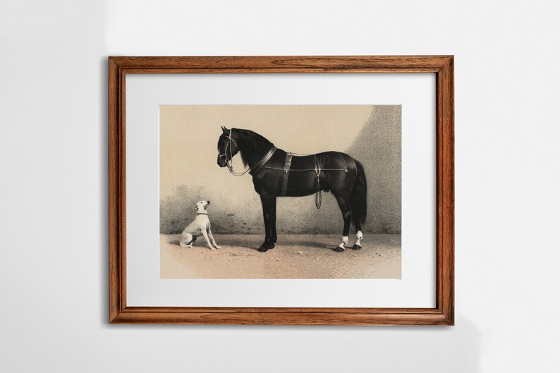 May include: A black horse with a bridle and harness stands next to a white dog. The horse is looking at the dog, and the dog is looking at the horse. The image is in black and white.