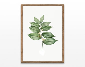 Vintage Botanical Illustration Art Print (Downloadable)