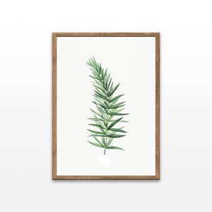 Vintage botanische print: antiek groen gebladerte illustratie (digitale download)