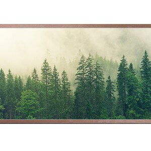 Samsung Frame TV Art, Instant Download, Misty Forest Landscape, Samsung Art TV, Frame TV Art, Digital Download for Samsung Frame