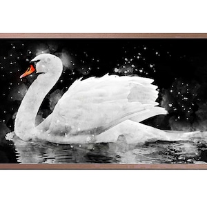 Samsung Frame Tv Art 4k, Mute Swan, Watercolor Effect, Samsung Art Download, Downloadable Frame Tv
