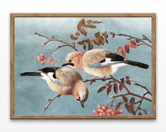 Vintage Bird Paintings, Antique Art Prints, Home Decor, Farmhouse Wall Decor, Printable Wall Art