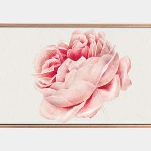 Samsung Frame Tv Art, Vintage Rose Paintings, Flowers in art of the Netherlands, Art For Frame Tv, Instant Download