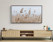 Wheat Field Photo for Samsung Frame TV Art (Digital Download)