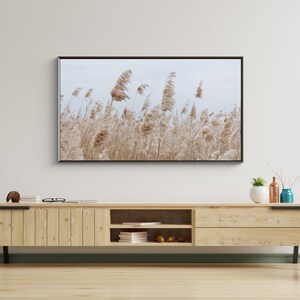 May include: A wooden TV stand with two drawers and a shelf. The stand is light brown and has black metal legs. A television is mounted on the wall above the stand. The television screen shows a photograph of a field of tall, dried grasses.
