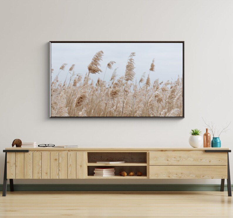 May include: A wooden TV stand with two drawers and a shelf. The stand is light brown and has black metal legs. A television is mounted on the wall above the stand. The television screen shows a photograph of a field of tall, dried grasses.