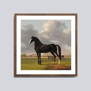 Square Print Wall Art, Portrait Paintings of Horses, Vintage Artworks, Art Print For Living Room, Home Decor Wall Art, Instant Download