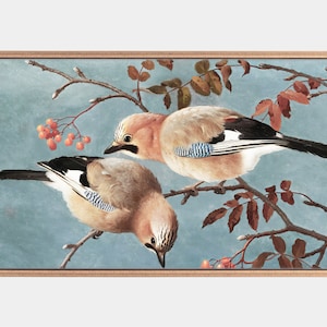 Samsung Frame Tv Art, Paintings of jays, Vintage Bird Artworks, Instant Download