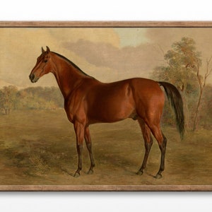 Horse Oil Paintings, Kentucky Woodpecker, Antique Horse Prints, Rustic Home Decor, Vintage Wall Art, New Home Gifts, Downloadable Prints