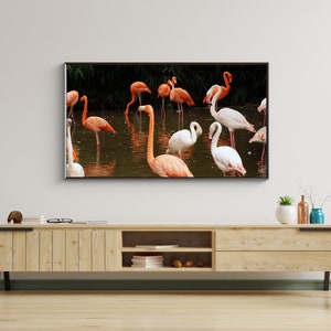 Samsung Frame Tv Art File, Flamingos, Frame Tv Art 4k, Art for Tv Frame, Samsung Tv Art, Frame Tv Art, Digital Download Wall Art