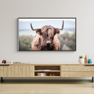 Samsung Frame Tv Art, Highland Cow Photo, Digital Art for Tv, Samsung Frame Download, Instant Download