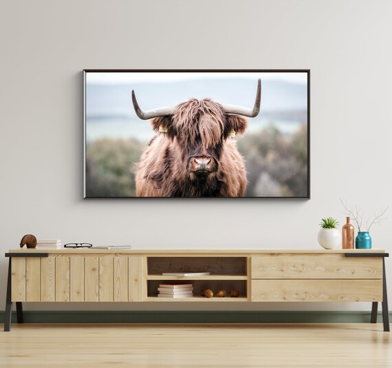 Highland Cow Photo for Samsung Frame TV (Digital Download)