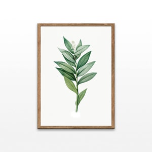 Botanical Art Prints, Vintage Flower Prints, Botanical Illustration, Bathroom Decor Prints, Digital Download, Printable Wall Art