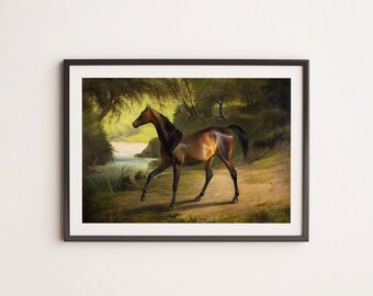 ヴィンテージの馬の絵画：フランスの田舎の農家のアート（デジタル