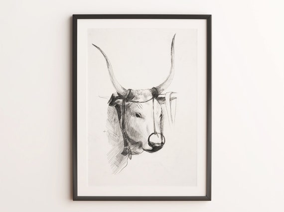 Buffalo Bull Head: Over 33,767 Royalty-Free Licensable Stock Vectors &  Vector Art | Shutterstock