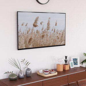 May include: A wooden entertainment center with a black framed picture of tall grass blowing in the wind, a white ceramic bird figurine, a black ceramic bird figurine, a small white framed picture with a blue and white pattern, and a tray with a bowl of fruit and a few cups.