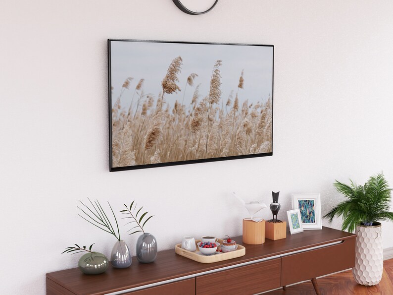 May include: A wooden entertainment center with a black framed picture of tall grass blowing in the wind, a white ceramic bird figurine, a black ceramic bird figurine, a small white framed picture with a blue and white pattern, and a tray with a bowl of fruit and a few cups.
