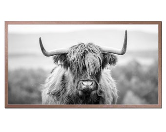 Highland Cow Photo for Samsung Frame TV (Digital Download)