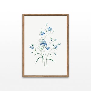 Botanical Illustration, Vintage Botanical Prints, Flowers in Art, Home Decor Wall Art, Digital Download, Printable Wall Decor