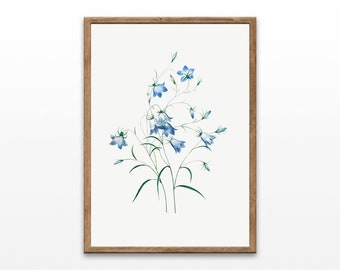 Vintage Bluebell Botanical Print: Floral Wall Art (Digital Download)