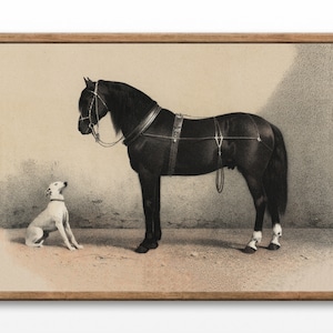 Vintage schwarzes Pferd & Hund Druck: 1800er Illustration (Digitaler Download)