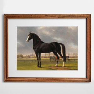 May include: A painting of a black horse standing in a field with other horses in the background. The horse has a white star on its forehead and is standing in a field with a fence in the background.