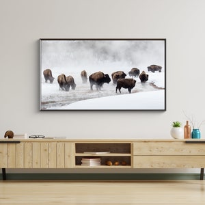 Samsung Frame Tv Art, Bison Photo in Winter, 4k Frame Tv Art, Digital Winter Art, Instant Download
