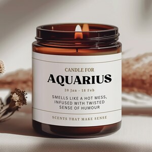 Aquarius Gifts/Zodiac Candle For Aquarius/Aquarius Birthday Gifts/Funny Candle/Gifts For Friends/Star Sign Gifts/Horoscope Candle