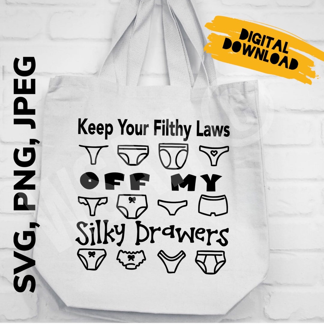 Keep Your Filthy Laws off My Silky Drawers Pro Choice Art Graphic