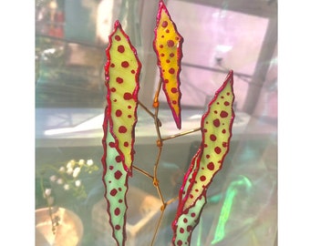 Begonia Amphioxus Stained Glass - Vibrant Handmade Artisan Decor - Tropical Flower Home & Window Accent - Makes a Thoughtful Gift