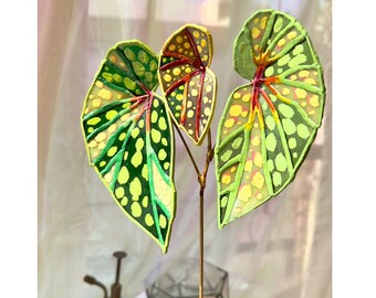 Stunning Variegated Begonia Chlorosticta Stained Glass - Handcrafted Tropical Leaf Art - Decorations for Holiday House and Window