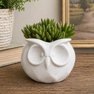 Handmade Concrete Owl Planter | Modern Succulent Pot, Herb Planter