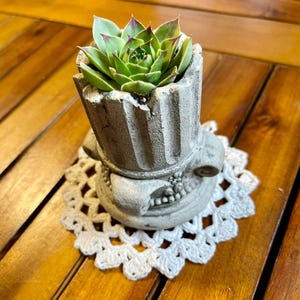 May include: A small, green succulent plant in a gray, concrete planter with a classical column design. The planter sits on a white, crocheted doily, placed on a wooden table. The succulent has green leaves with red tips.
