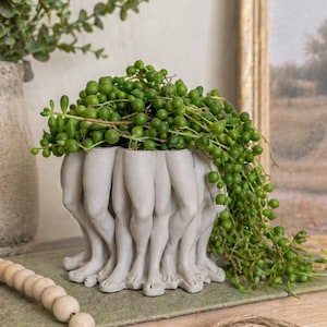 May include: A unique, light gray planter featuring a design of multiple legs forming the base. The planter holds a vibrant green plant with cascading, round leaves. The planter sits on a green book, with a wooden bead garland and tassel in the foreground.
