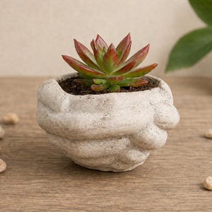 May include: A small, textured, off-white ceramic pot shaped like clasped hands, holding a succulent plant. The succulent has green and red leaves. Small, light-colored pebbles are scattered around the pot on a wooden surface.