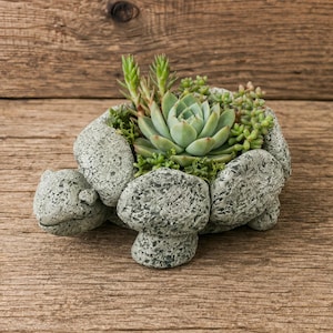 May include: A turtle-shaped planter crafted from textured gray stone, featuring a hollow shell filled with a variety of green succulents. The planter has a distinct head, four legs, and a shell structure composed of multiple stone-like segments.
