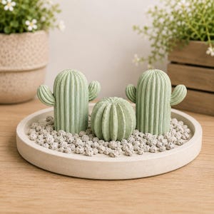 May include: Three light green cactus figurines arranged on a circular off-white tray filled with small, light gray pebbles. Two of the cacti are tall with side arms, while the central one is round and ribbed, all featuring a textured surface.