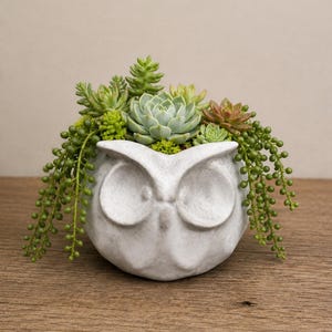 May include: A white owl-shaped planter filled with various succulents. The planter has large, round eyes and a textured surface. The succulents are a mix of green, light green, and reddish-brown, with trailing green plants. A decorative item for home decor.